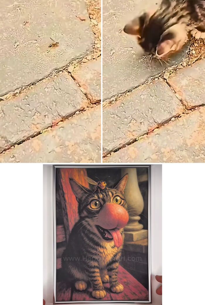Ilustrações hilárias transformam fails de animais em arte caricata e cheia de personalidade (20 fotos) 1 Ilustrações hilárias transformam fails de animais em arte caricata e cheia de personalidade (20 fotos) 1