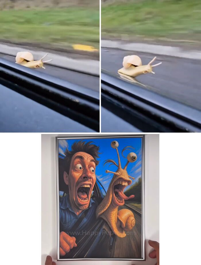 Ilustrações hilárias transformam fails de animais em arte caricata e cheia de personalidade (20 fotos) 2 Ilustrações hilárias transformam fails de animais em arte caricata e cheia de personalidade (20 fotos) 2