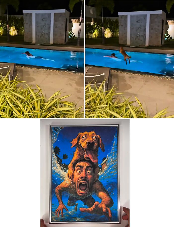 Ilustrações hilárias transformam fails de animais em arte caricata e cheia de personalidade (20 fotos) 3 Ilustrações hilárias transformam fails de animais em arte caricata e cheia de personalidade (20 fotos) 3