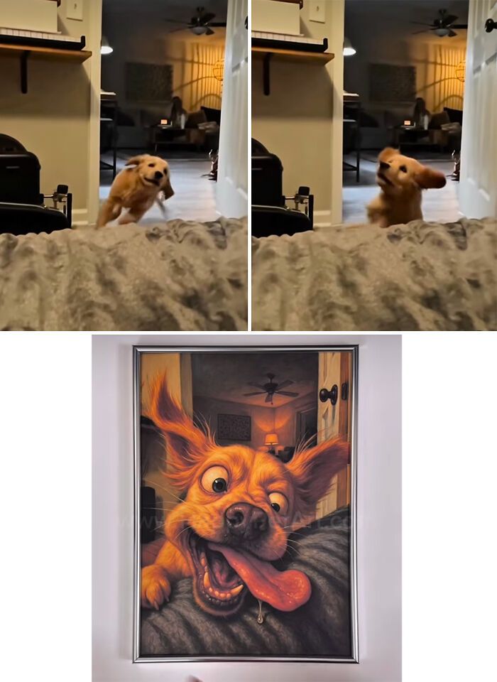 Ilustrações hilárias transformam fails de animais em arte caricata e cheia de personalidade (20 fotos) 11 Ilustrações hilárias transformam fails de animais em arte caricata e cheia de personalidade (20 fotos) 11