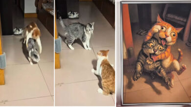 Ilustrações hilárias transformam fails de animais em arte caricata e cheia de personalidade (20 fotos) 42