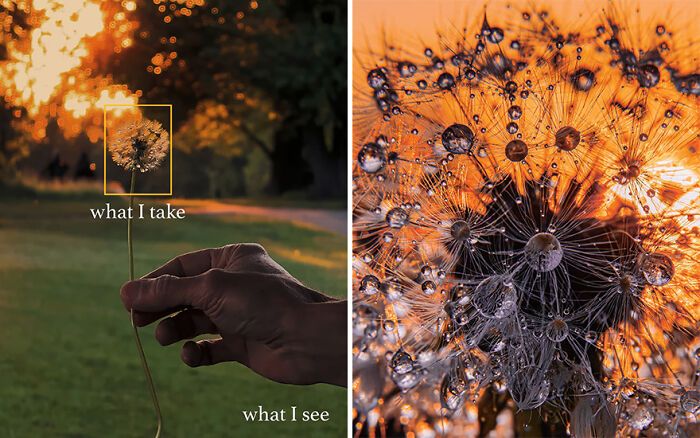 “O que eu vejo vs. o que eu capto”: A magia de olhar além da lente com Kristina Makeeva (16 fotos) 1 “O que eu vejo vs. o que eu capto”: A magia de olhar além da lente com Kristina Makeeva (16 fotos) 1