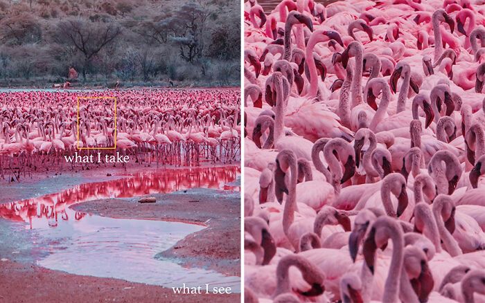 “O que eu vejo vs. o que eu capto”: A magia de olhar além da lente com Kristina Makeeva (16 fotos) 3 “O que eu vejo vs. o que eu capto”: A magia de olhar além da lente com Kristina Makeeva (16 fotos) 3