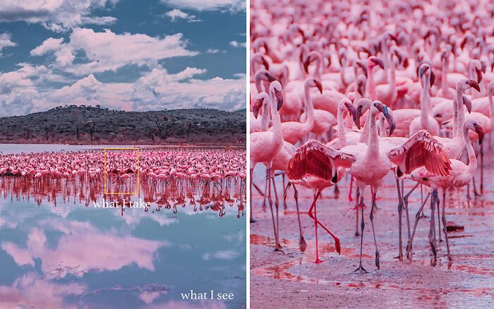 “O que eu vejo vs. o que eu capto”: A magia de olhar além da lente com Kristina Makeeva (16 fotos) 12 “O que eu vejo vs. o que eu capto”: A magia de olhar além da lente com Kristina Makeeva (16 fotos) 12