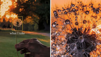 “O que eu vejo vs. o que eu capto”: A magia de olhar além da lente com Kristina Makeeva (16 fotos) 40