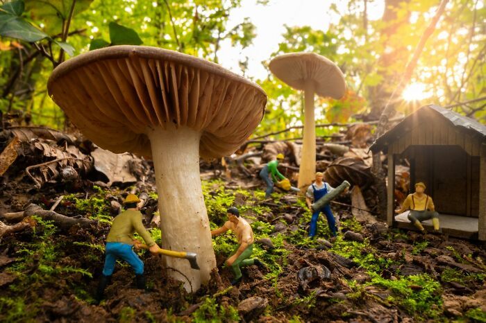 Tiny Wasteland: o universo minúsculo e criativo onde migalhas viram montanhas (20 fotos) 5