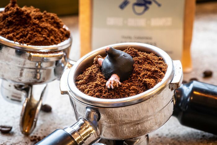 Tiny Wasteland: o universo minúsculo e criativo onde migalhas viram montanhas (20 fotos) 8