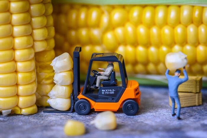 Tiny Wasteland: o universo minúsculo e criativo onde migalhas viram montanhas (20 fotos) 14