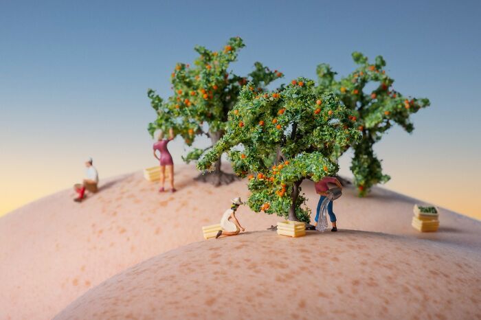 Tiny Wasteland: o universo minúsculo e criativo onde migalhas viram montanhas (20 fotos) 20