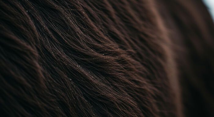 A beleza invisível: 17 fotos macro que revelam o encanto escondido da natureza 1