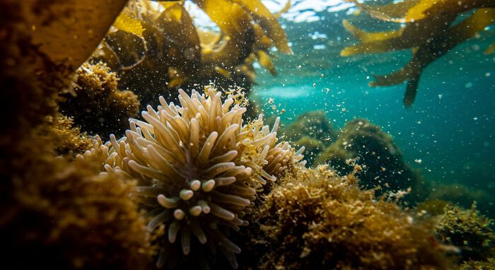 A beleza invisível: 17 fotos macro que revelam o encanto escondido da natureza 5