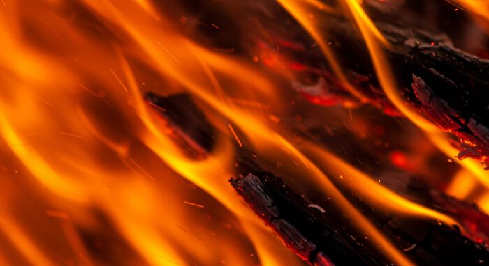 A beleza invisível: 17 fotos macro que revelam o encanto escondido da natureza 6