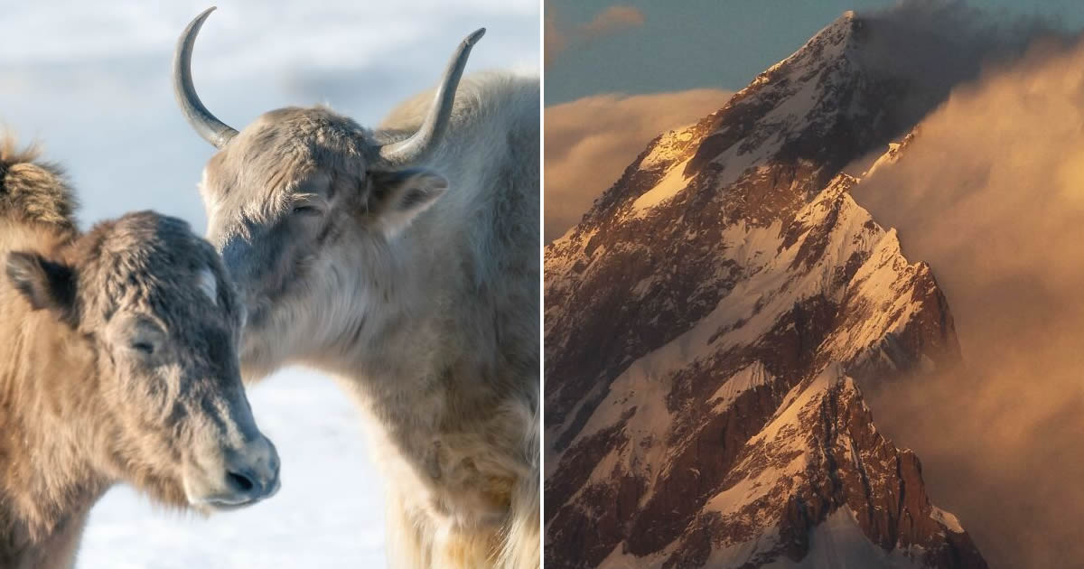 As fotografias de Khumais Idrees parecem saídas de um mundo de fantasia (38 fotos)