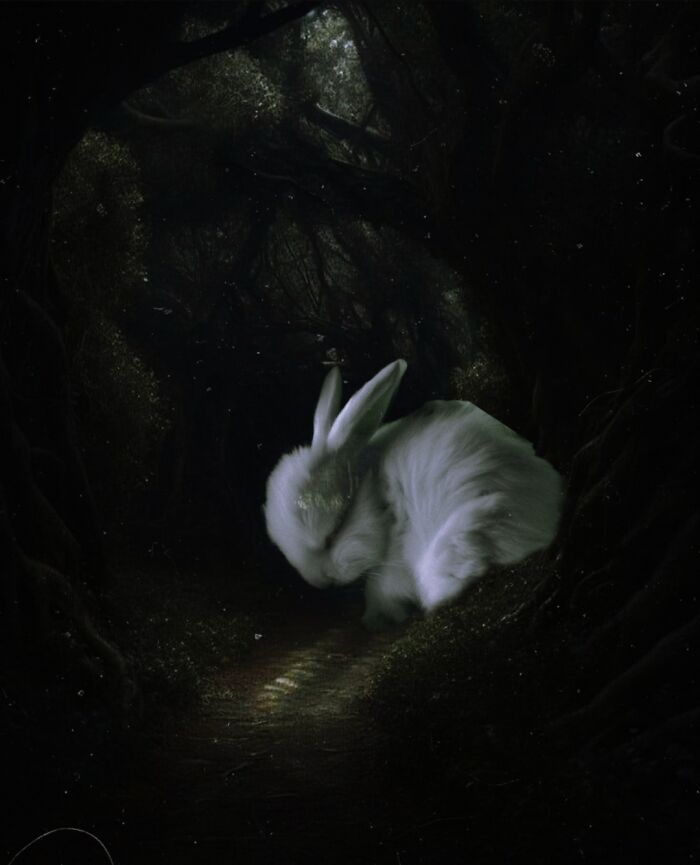 Entre pixels e emoções: A jornada surreal de um artista que transforma sentimentos em imagens (10 fotos) 8