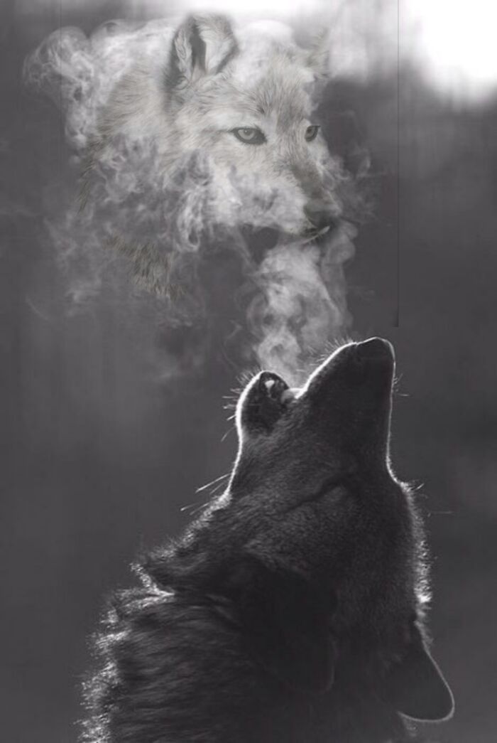 Entre pixels e emoções: A jornada surreal de um artista que transforma sentimentos em imagens (10 fotos) 10