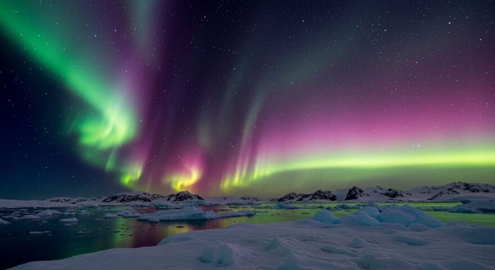 Uma viagem fotográfica pela Antártida: A beleza congelante que vai te deixar sem palavras (10 fotos) 6