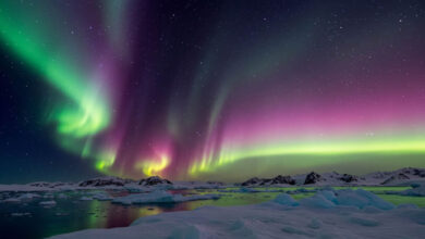 Uma viagem fotográfica pela Antártida: A beleza congelante que vai te deixar sem palavras (10 fotos) 7