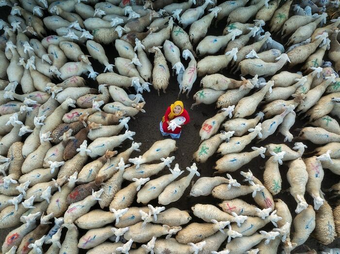 Zay Yar Lin: O capitão que navega pelas lentes da cultura asiática (32 fotos) 12