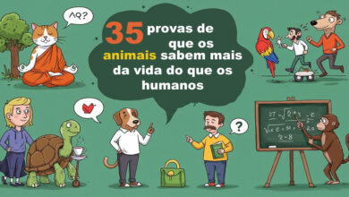 35 provas de que os animais sabem mais da vida do que os humanos 9