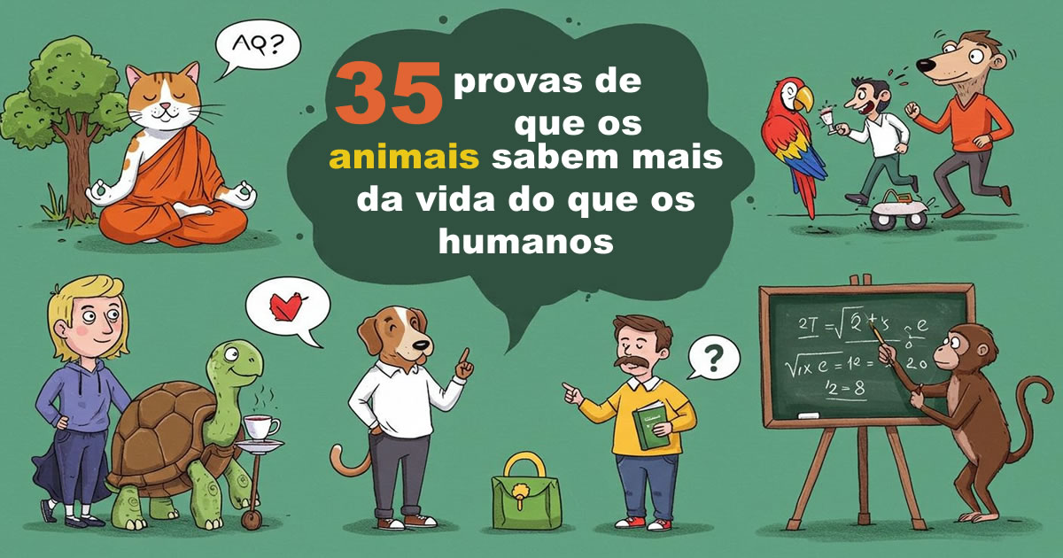 35 provas de que os animais sabem mais da vida do que os humanos