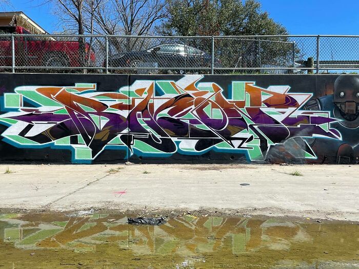 Alexander “Vizsla” Bacon: o muralista que transforma cidades em sonhos (34 fotos) 20