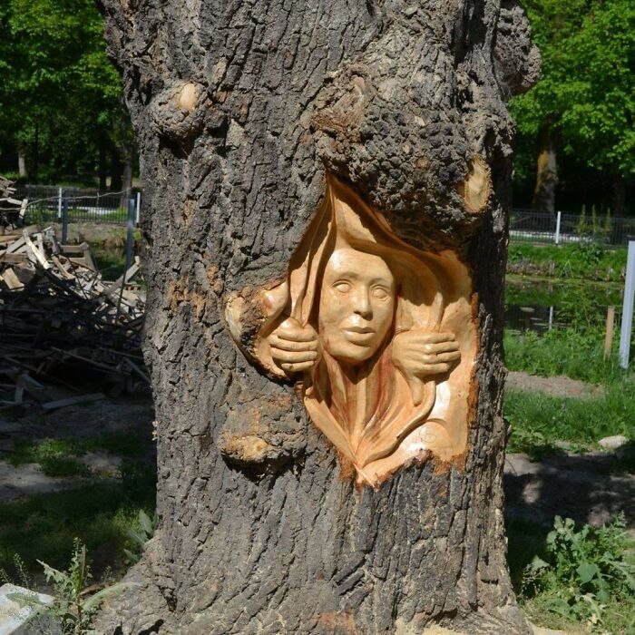 Artista romeno transforma tocos de árvores em esculturas incríveis com motosserra (20 fotos) 7 Artista romeno transforma tocos de árvores em esculturas incríveis com motosserra (20 fotos) 7
