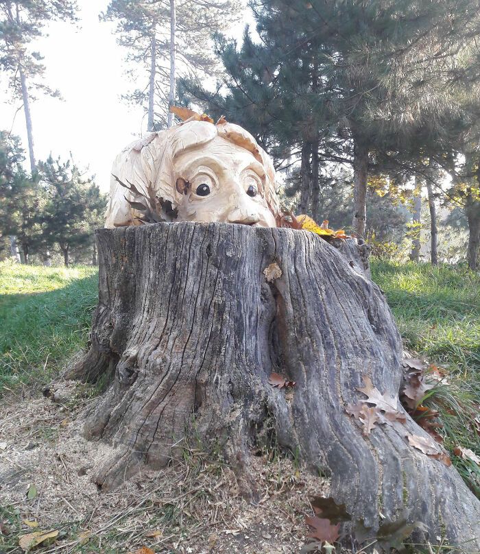 Artista romeno transforma tocos de árvores em esculturas incríveis com motosserra (20 fotos) 8 Artista romeno transforma tocos de árvores em esculturas incríveis com motosserra (20 fotos) 8