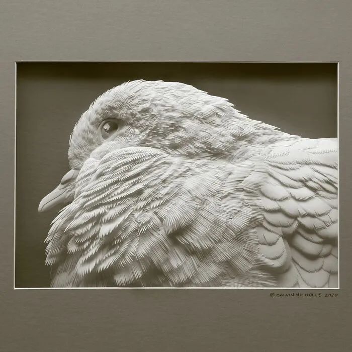 Calvin Nicholls: o artista que transforma papel em esculturas de vida selvagem (34 fotos) 20
