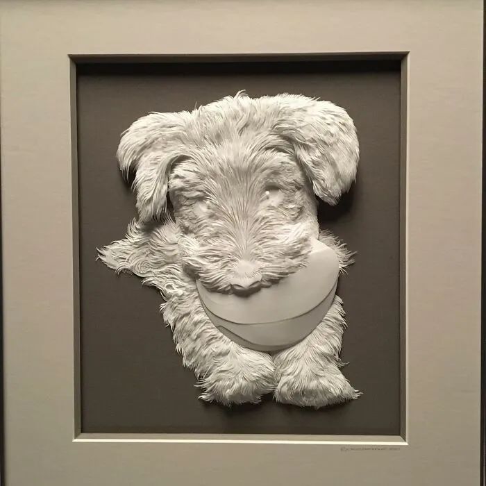 Calvin Nicholls: o artista que transforma papel em esculturas de vida selvagem (34 fotos) 24