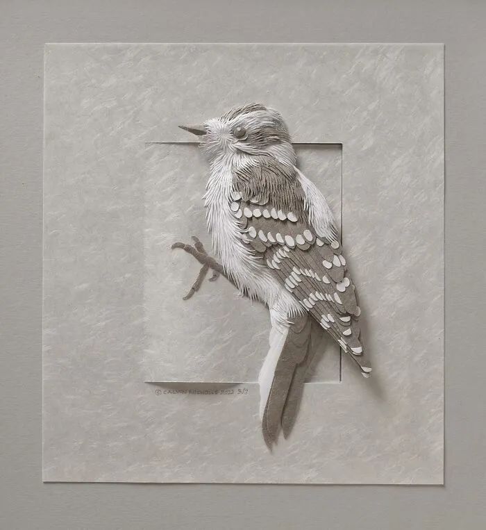 Calvin Nicholls: o artista que transforma papel em esculturas de vida selvagem (34 fotos) 26