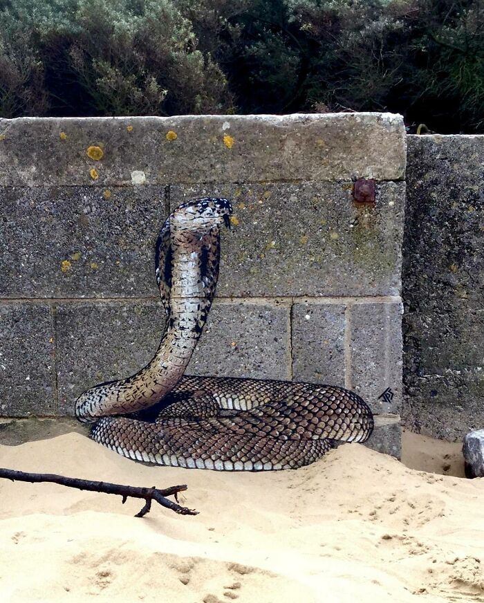 JPS: o artista de rua que transformou dor em criatividade (42 fotos) 13