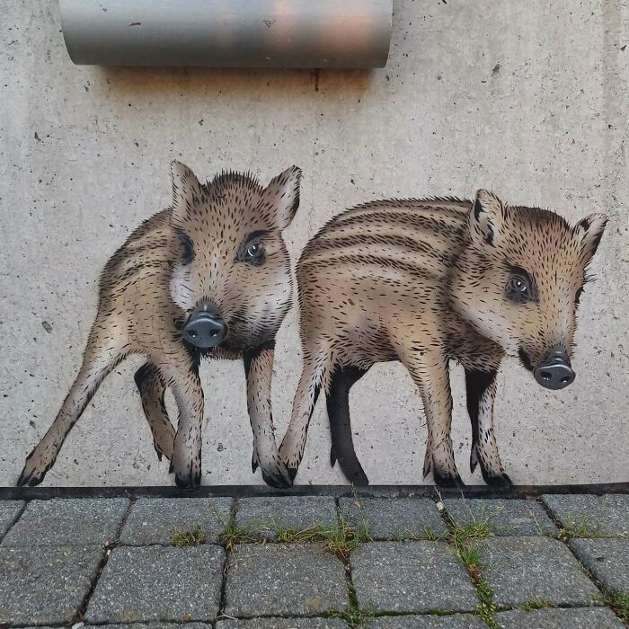 JPS: o artista de rua que transformou dor em criatividade (42 fotos) 20