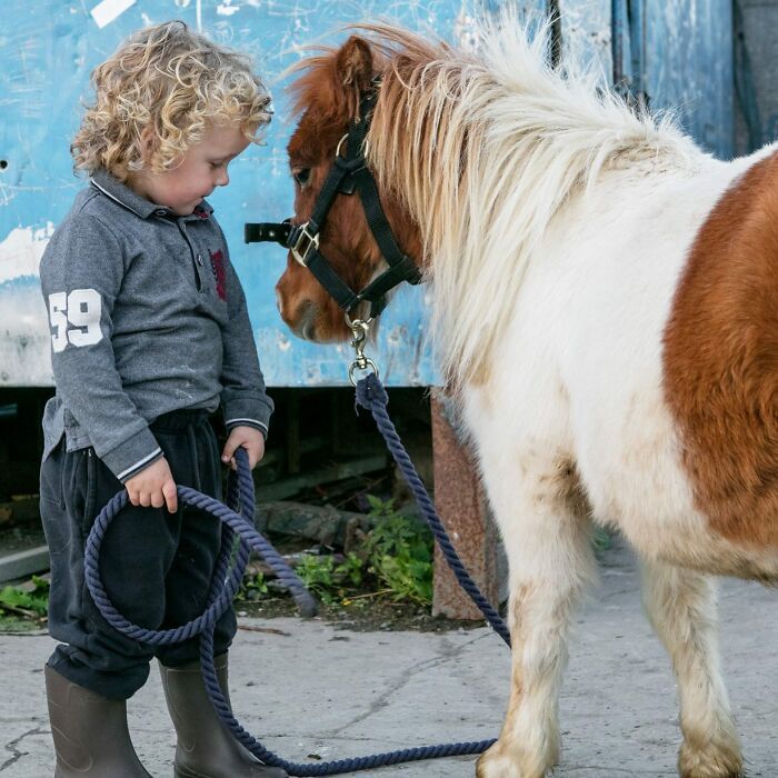 O vínculo incrível entre crianças e animais nas lentes de Michele Zousmer (29 fotos) 4