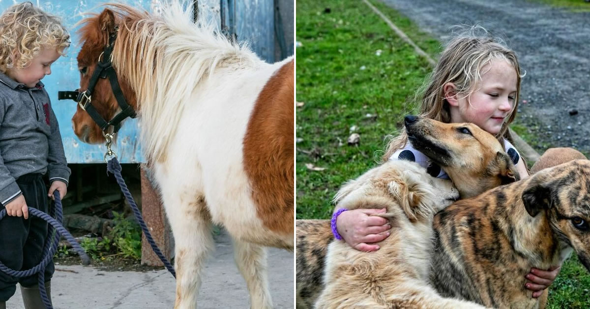 O vínculo incrível entre crianças e animais nas lentes de Michele Zousmer (29 fotos)