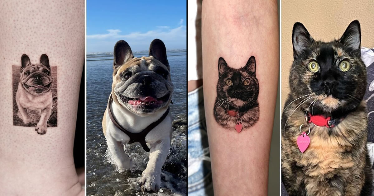Yeono: a tatuadora que transforma pets em retratos hiper-realistas na pele (30 fotos)