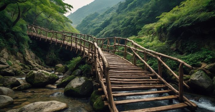 Ponte Iya Kazurabashi – Japão