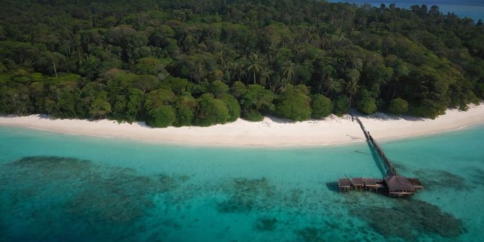 Ilha sentinel do norte – O último povo isolado