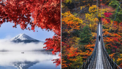 A força da fotografia como arte: o universo de @121clicks (32 fotos) 40