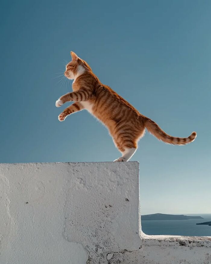 Aikaterini Theocharidou: a artista que transforma o silêncio em poesia visual (35 fotos) 6