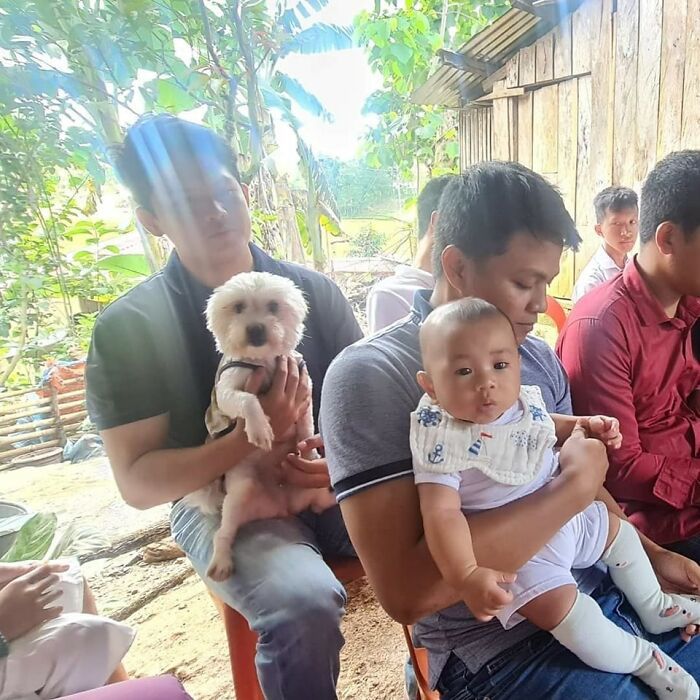 Cães engraçados: os melhores momentos que só eles sabem proporcionar (35 fotos) 1