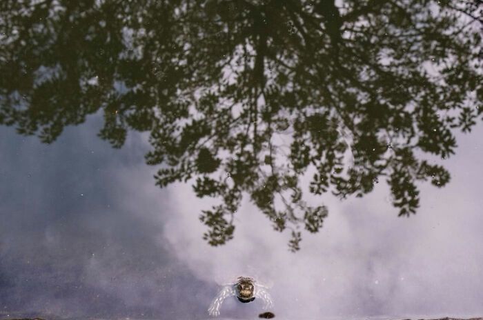 Fotografia de rua com humor: o olhar criativo de Serkan Tekin (35 fotos) 7