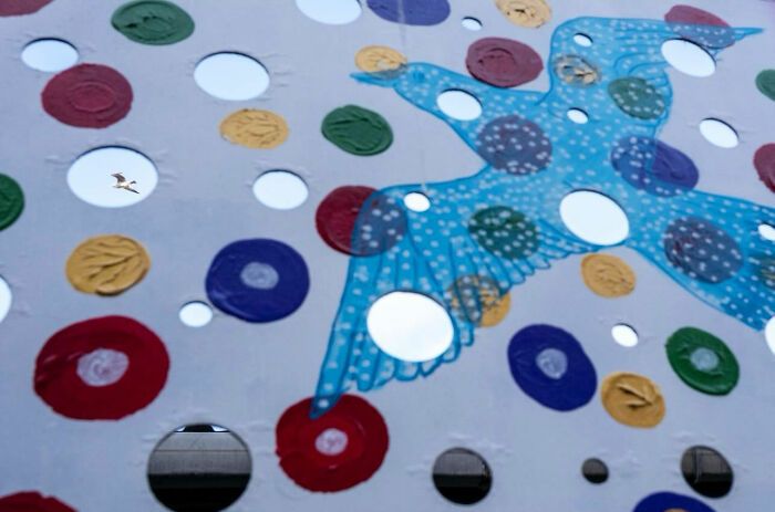 Fotografia de rua com humor: o olhar criativo de Serkan Tekin (35 fotos) 16