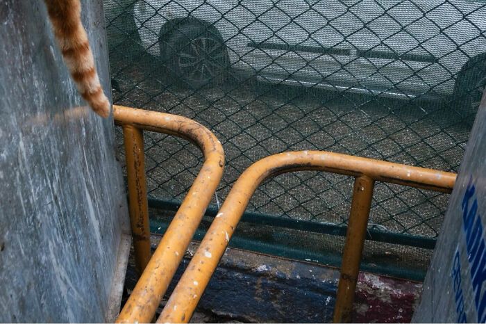 Fotografia de rua com humor: o olhar criativo de Serkan Tekin (35 fotos) 29