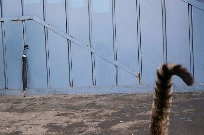 Fotografia de rua com humor: o olhar criativo de Serkan Tekin (35 fotos) 32