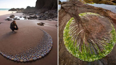 Jon Foreman: o artista que transforma a praia em galeria de arte (34 fotos) 39