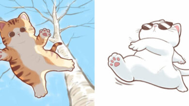 As ilustrações mais fofas da internet: artista chinesa transforma seu gato em pura terapia visual (30 fotos) 26