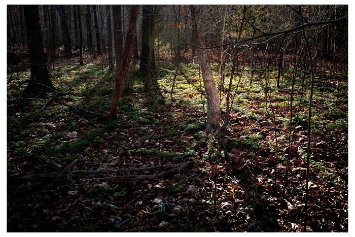 Benita Mayo e o poder de lembrar: Quando a fotografia se torna um ato de cura