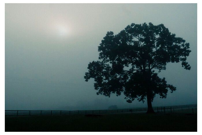 Benita Mayo e o poder de lembrar: Quando a fotografia se torna um ato de cura (20 fotos) 1