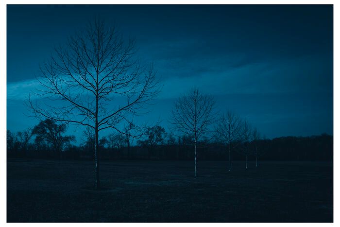 Benita Mayo e o poder de lembrar: Quando a fotografia se torna um ato de cura (20 fotos) 3