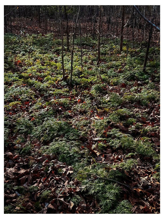 Benita Mayo e o poder de lembrar: Quando a fotografia se torna um ato de cura (20 fotos) 10